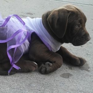 Meet your Posher, Karina